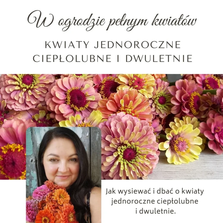 W ogrodzie pełnym kwiatów - Kwiaty jednoroczne ciepłolubne i dwuletnie