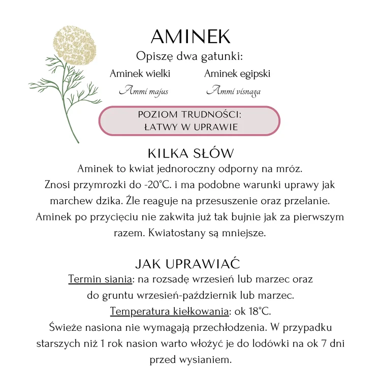 W ogrodzie pełnym kwiatów - Hardy Annuals