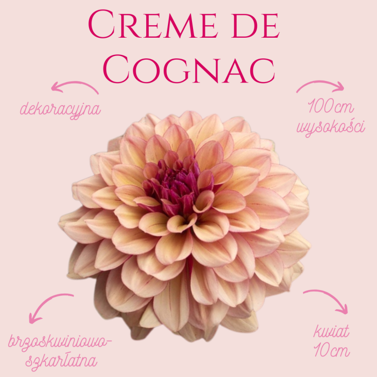 Creme de Cognac.png