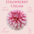 Strwaberry Cream