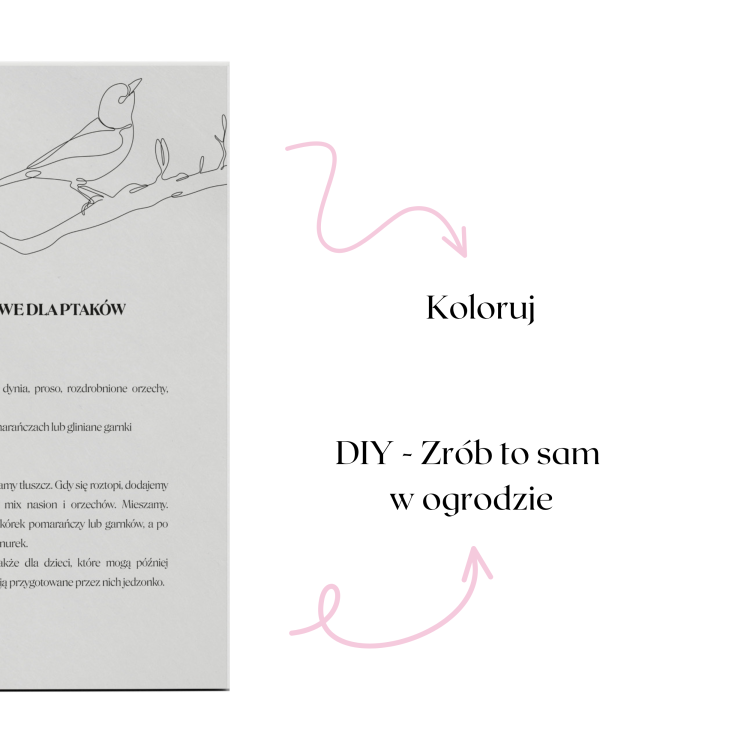 Planer grafiki (3).png