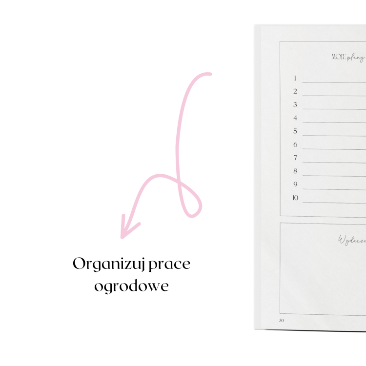 Planer grafiki (2).png