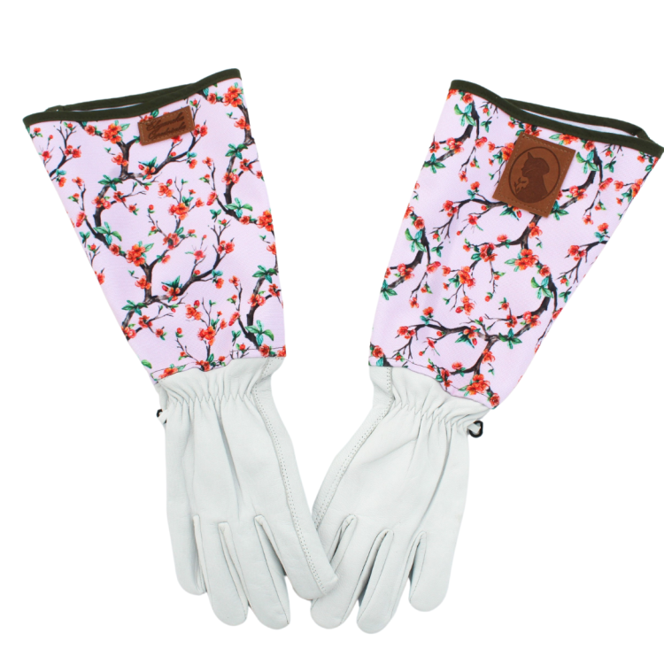 Rękawiczki długie do róż Pigwowiec.png