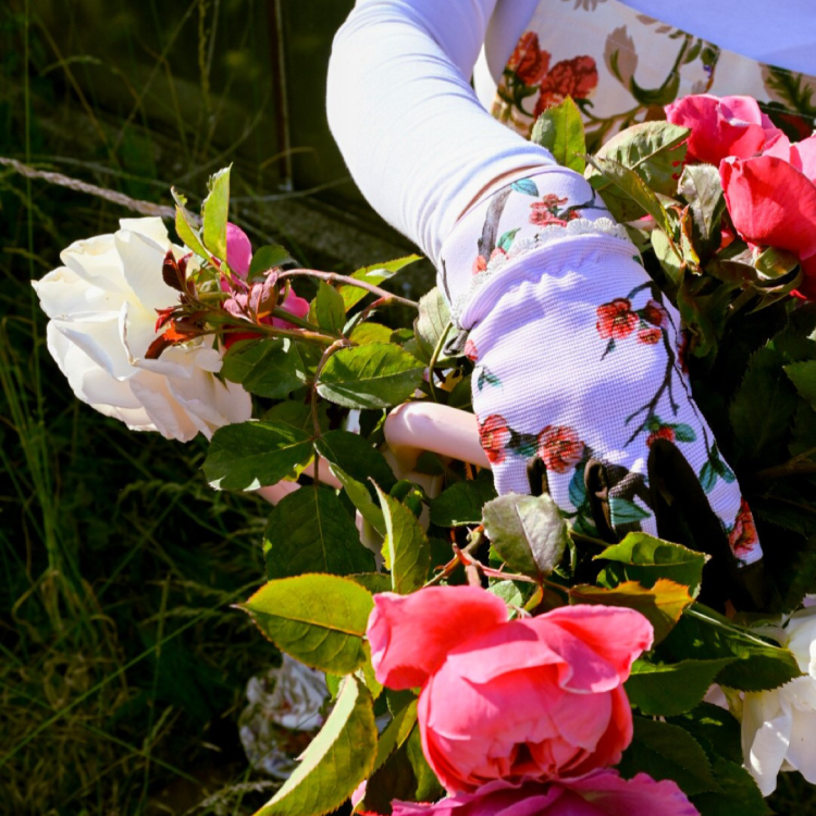 Rękawiczki Krótkie Pigwowiec (1).png