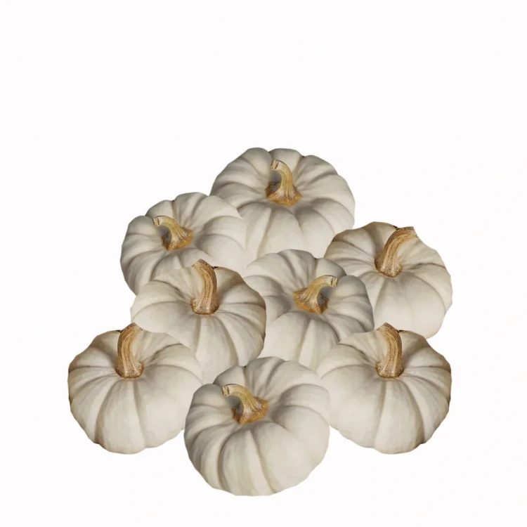 Dynia ozdobna - Baby Boo