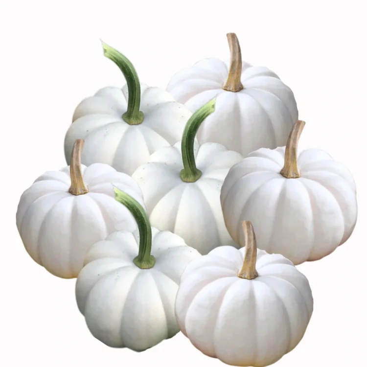 Dynia ozdobna - Casperita F1