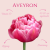 Tulip - Aveyron.png