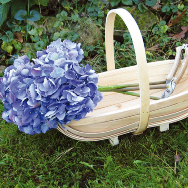 _koszyki zestaw 3 II.png