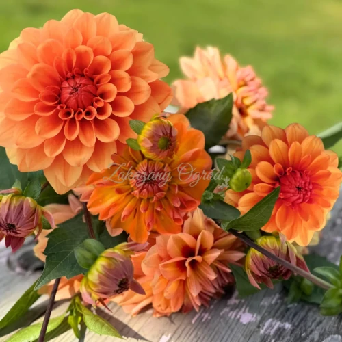 David Howard _11zon.webp