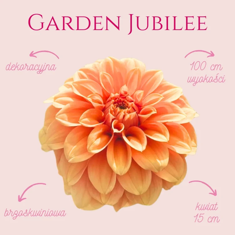 Garden Jubilee (1)_11zon.webp
