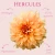Hercules (1)_11zon.webp
