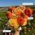 Mirella (1)_11zon.webp