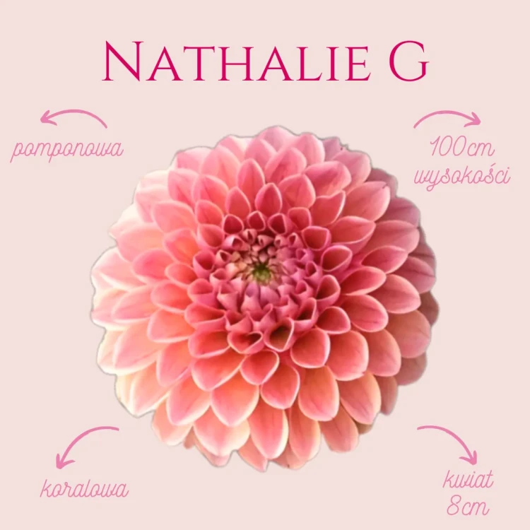 Nathalie
