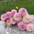 Pink Silk (1)_11zon.webp