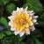 Seattle  (1)_11zon.webp