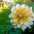 Seattle  (2)_11zon.webp