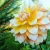 Seattle  (3)_11zon.webp
