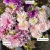 Silver Years (1)_11zon.webp