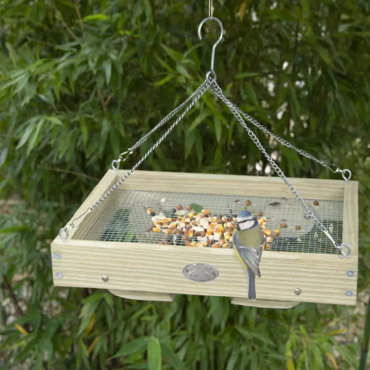 _karmnik taca 2_11zon.webp