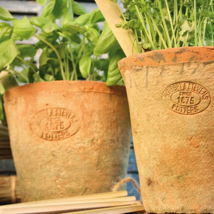 _zestaw 3 doniczek 1_11zon.webp