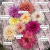 Break Out