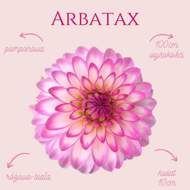 Arbatax