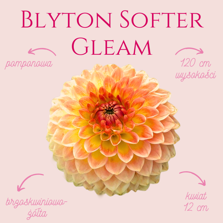 Blyton Softer Gleam