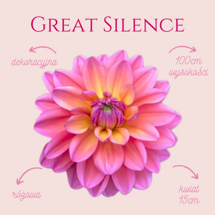 Great Silence