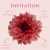 Invitation