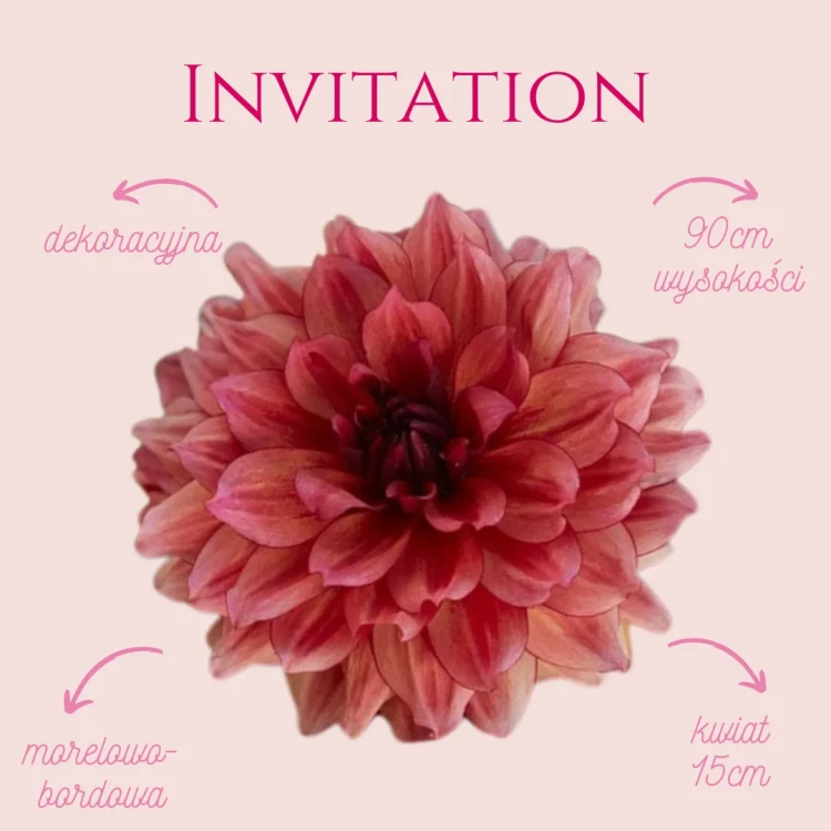 Invitation