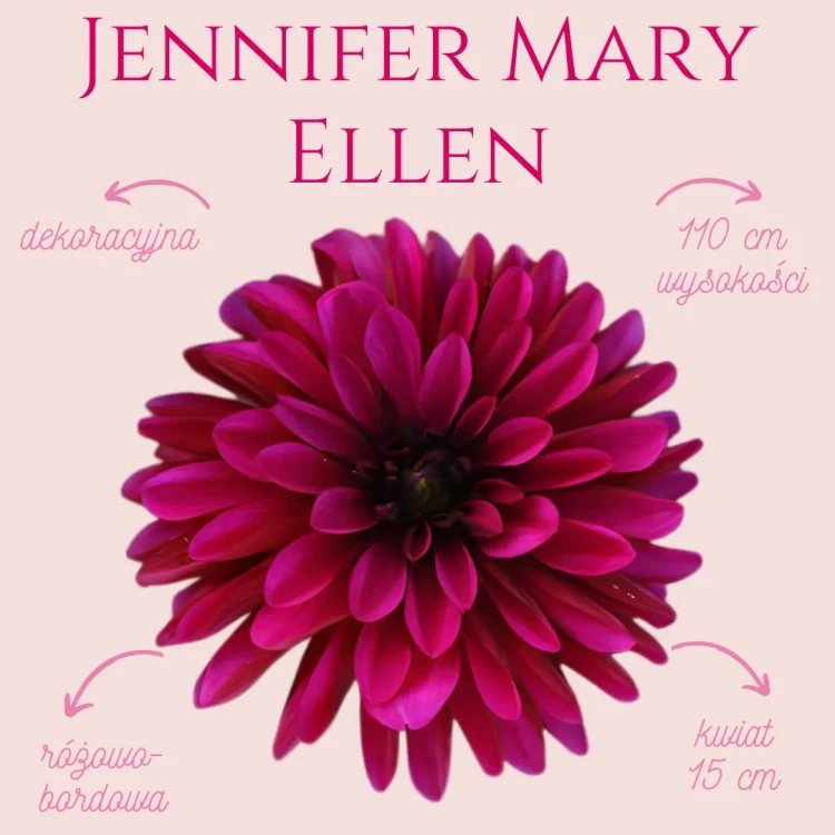 Jennifer Mary Ellen