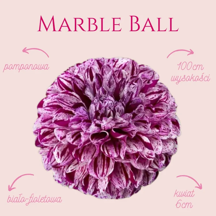 Marble Ball (2)_11zon.webp