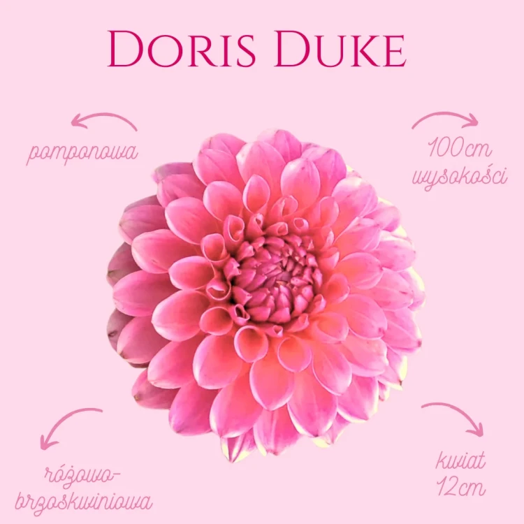 Doris Duke