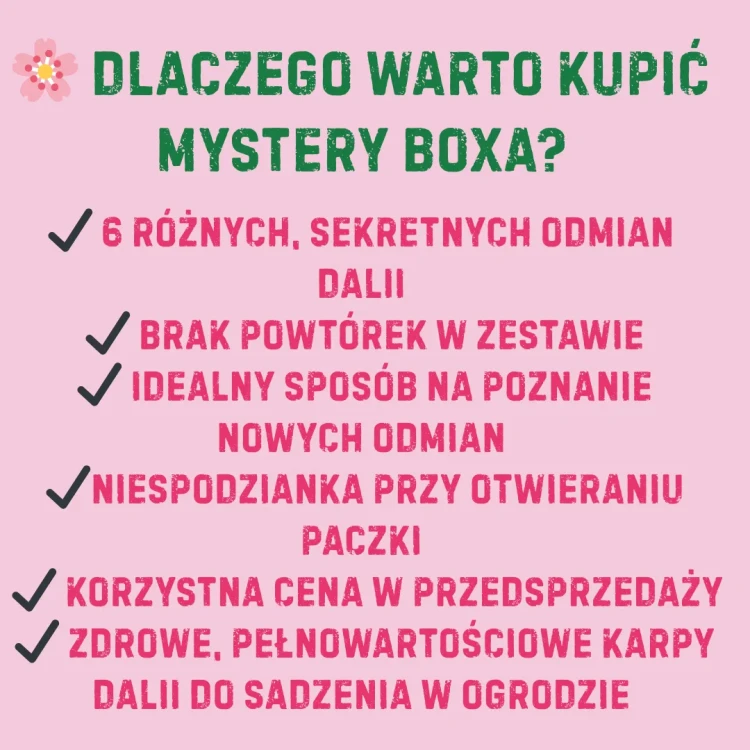 mystery box dalii