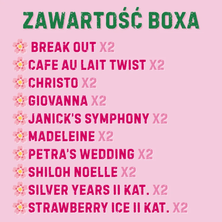 Pastelowy box 20 szt