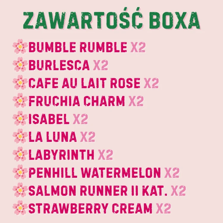 Kolorowy box 20 szt. - dalia mix (3)_11zon.webp