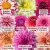 Kolorowy box 20 szt. - dalia mix (2)_11zon.webp