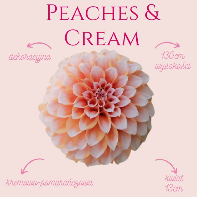 Peaches and Cream