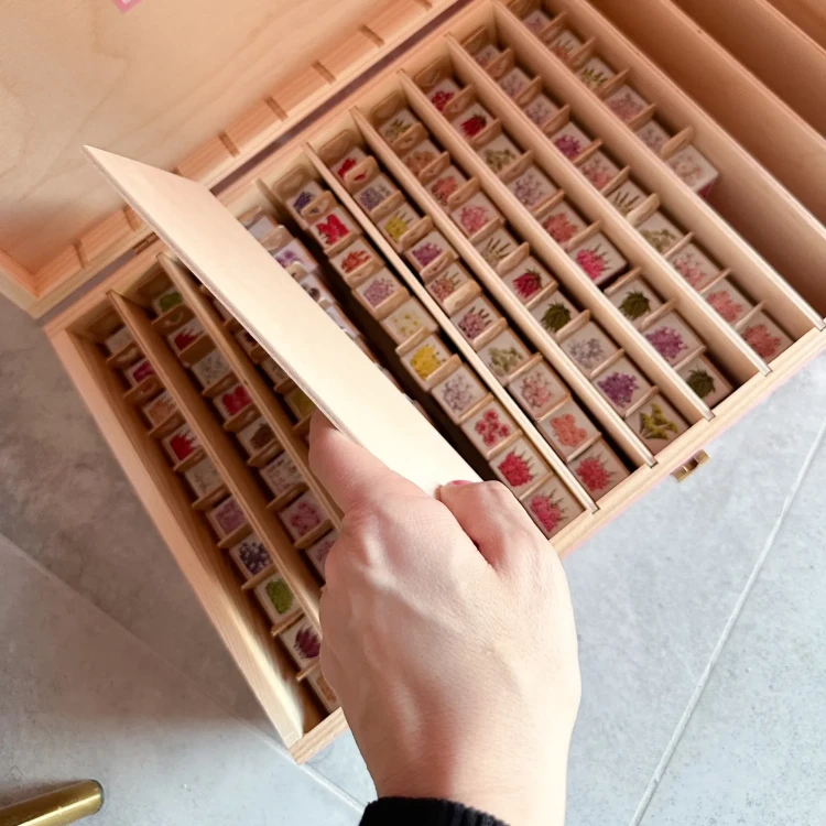 Duża skrzynia na nasiona ( różowa )