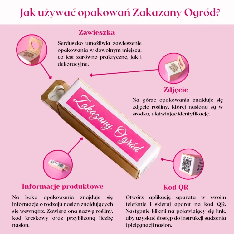 Malwa różowa - Chater's Rose