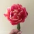 Tulipan Columbus (1)_11zon.webp