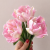 Tulipan Foxtrot