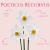 Poeticus Recurvus