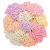 Krwawnik pospolity F2 Summer Pastels