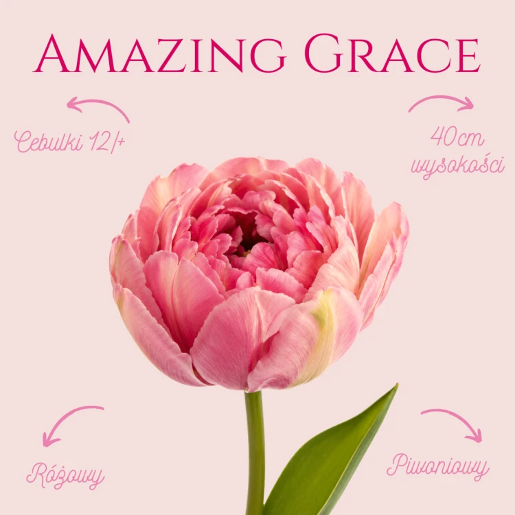Amazing Grace