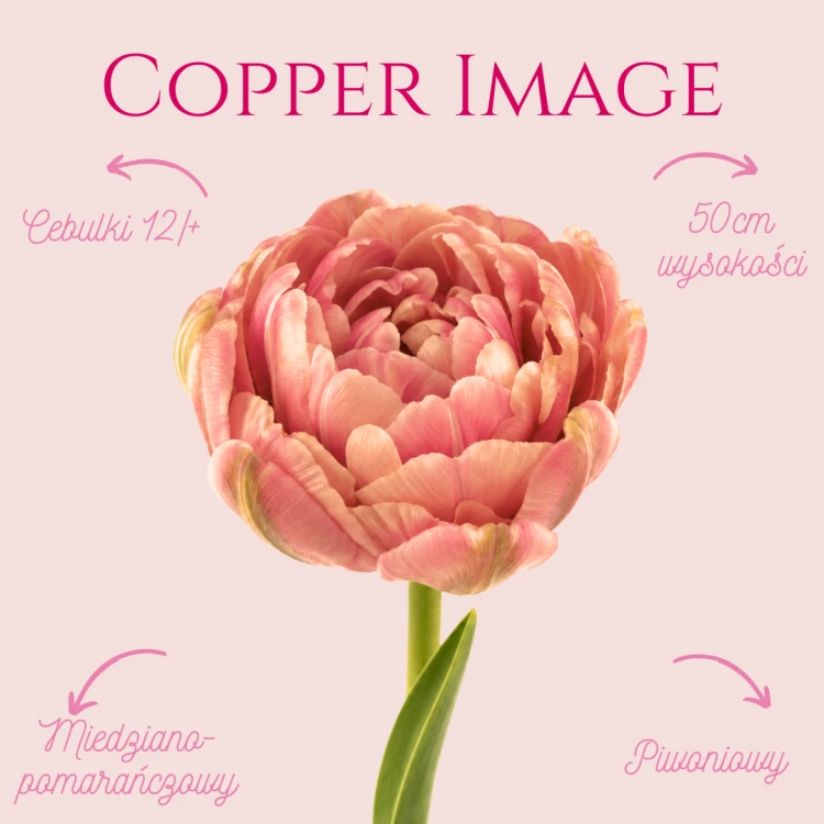 Copper Image