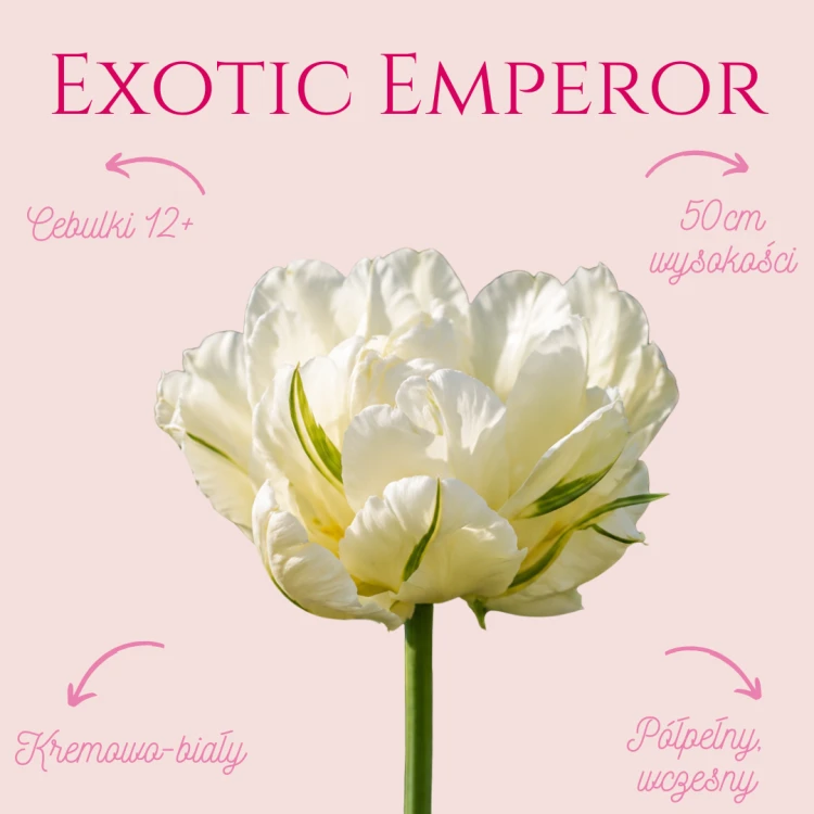 Exotic Emperor.png