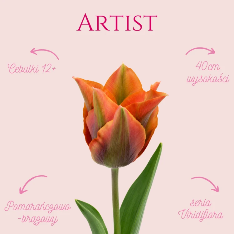 Artist