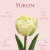 Yukon