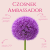 Czosnek Ambassador